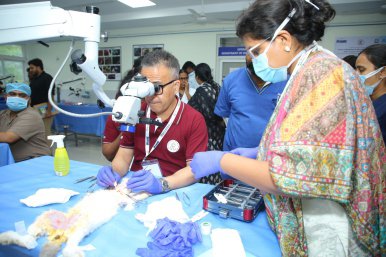 Workshop Photo 6